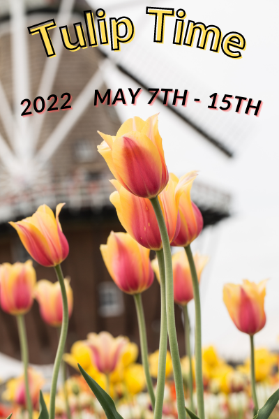 Smell the Tulips at Holland Michigan Tulip Time Festival 2022